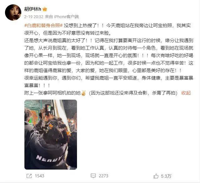 Bai lu's stand-in defends her