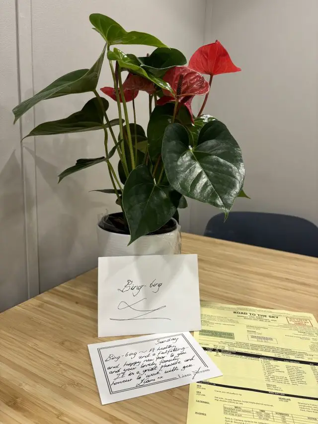 flowers from liam neeson
