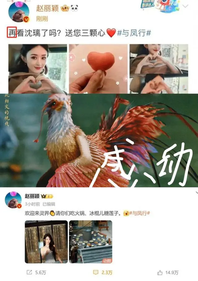 Zhao Li Ying draws flak over typos on social media