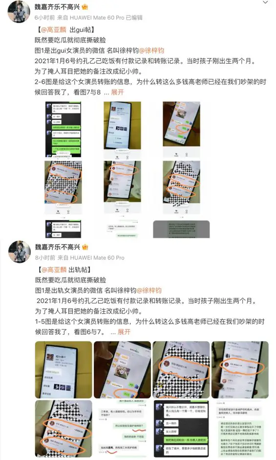 Wei Jia launches accusations on weibo