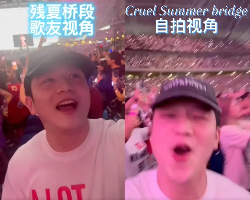 Fan Zhen Dong at Taylor Swift concert