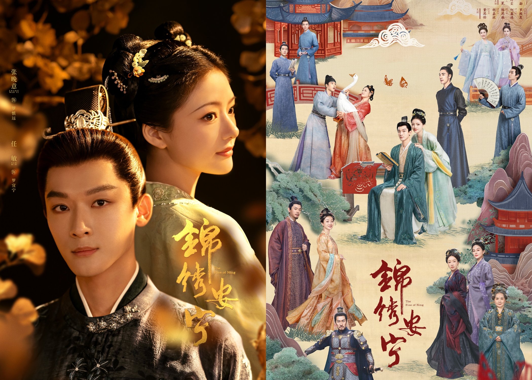 The Rise of Ning