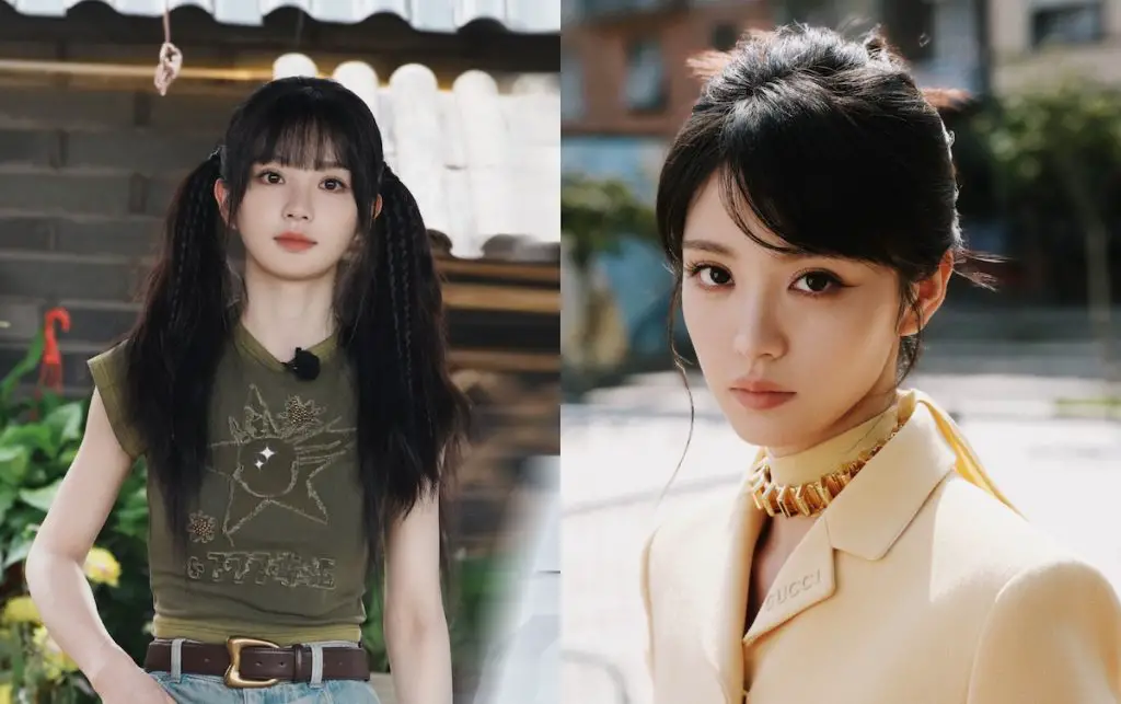 Tian Xiwei on "Respecting Choices" as Chinese Celebrities Face Expectation from Fans