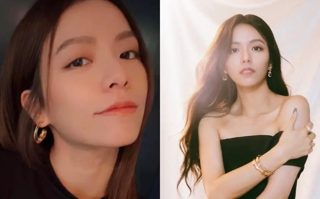 Vivian Sung on Showbiz Hiatus and Moving to the U.S.: “The Hardest Yet Most Rewarding Birthday Gift