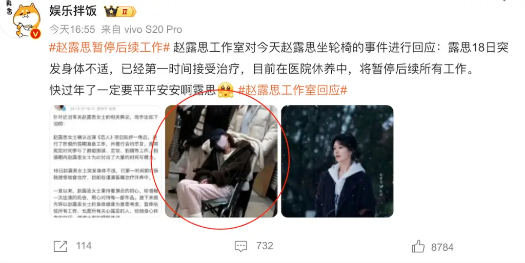 zhao lu si wheelchair