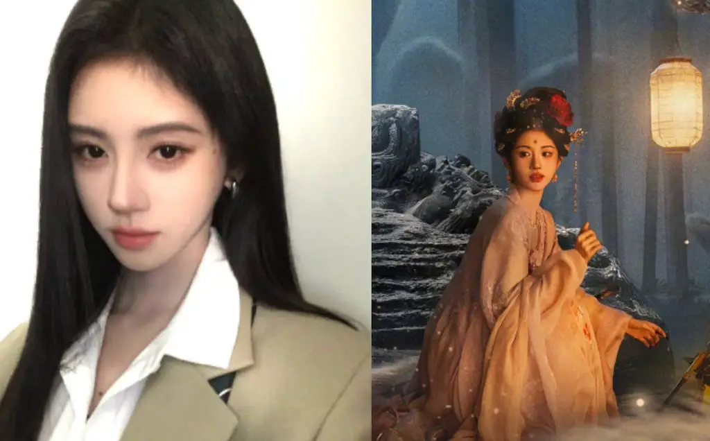 Ju Jingyi Faces Tax Allegations Ahead of Premiere of Veil of Shadows